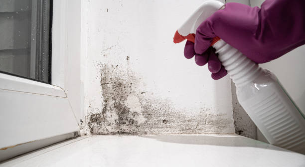 Trusted Ucon, ID Water damage restoration Experts